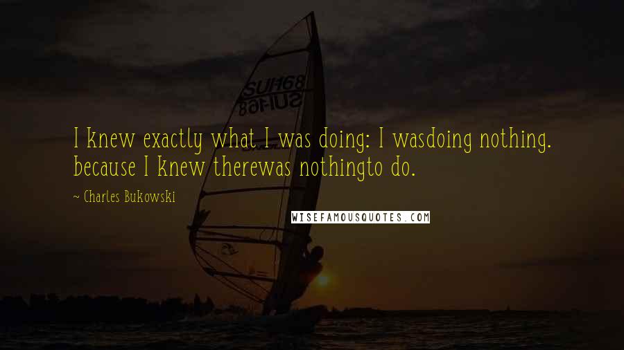 Charles Bukowski Quotes: I knew exactly what I was doing: I wasdoing nothing. because I knew therewas nothingto do.