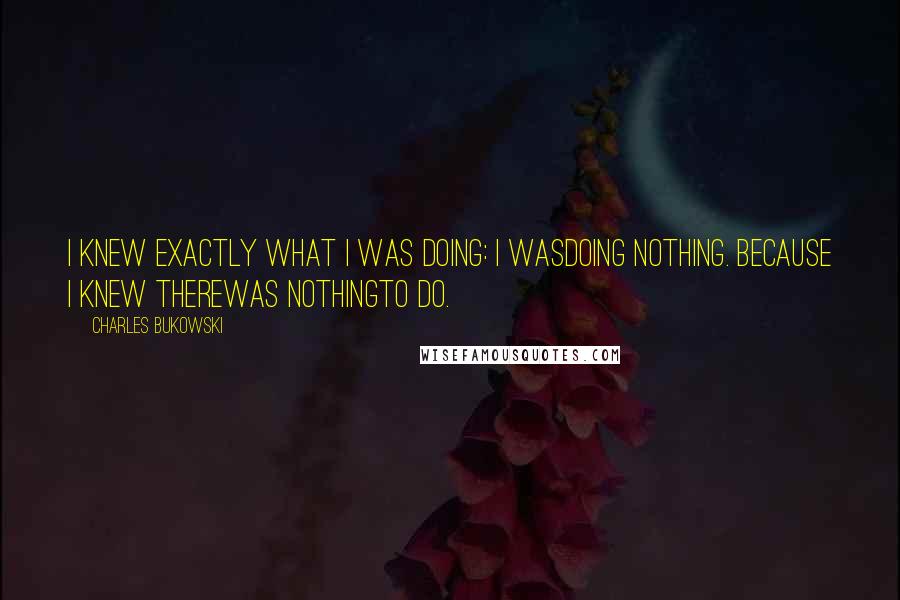 Charles Bukowski Quotes: I knew exactly what I was doing: I wasdoing nothing. because I knew therewas nothingto do.