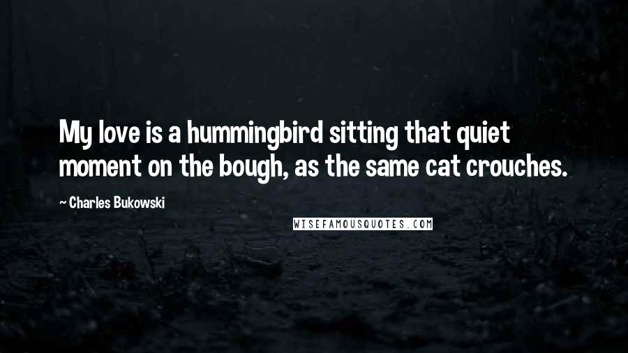 Charles Bukowski Quotes: My love is a hummingbird sitting that quiet moment on the bough, as the same cat crouches.