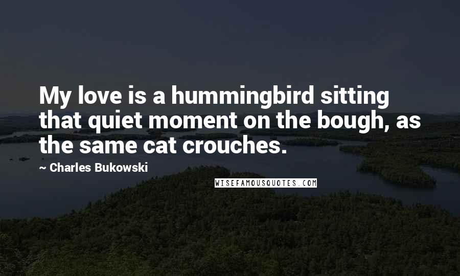 Charles Bukowski Quotes: My love is a hummingbird sitting that quiet moment on the bough, as the same cat crouches.