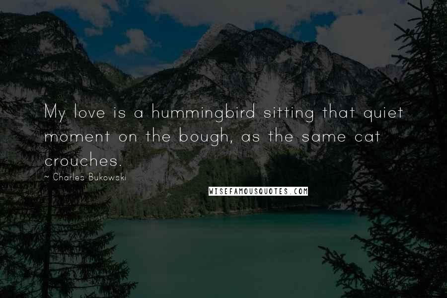 Charles Bukowski Quotes: My love is a hummingbird sitting that quiet moment on the bough, as the same cat crouches.