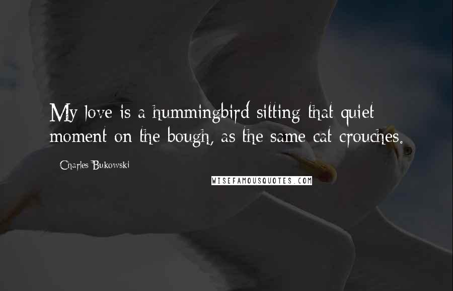 Charles Bukowski Quotes: My love is a hummingbird sitting that quiet moment on the bough, as the same cat crouches.