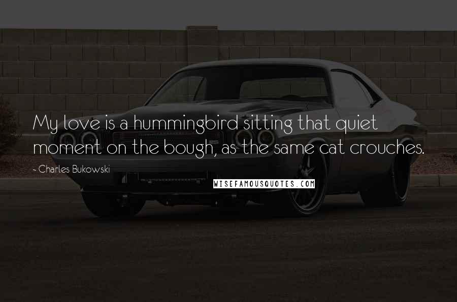 Charles Bukowski Quotes: My love is a hummingbird sitting that quiet moment on the bough, as the same cat crouches.