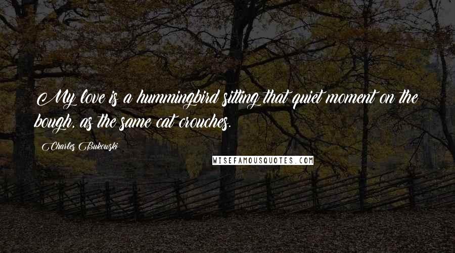 Charles Bukowski Quotes: My love is a hummingbird sitting that quiet moment on the bough, as the same cat crouches.