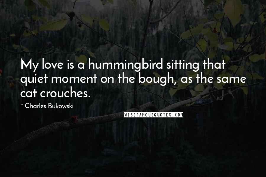 Charles Bukowski Quotes: My love is a hummingbird sitting that quiet moment on the bough, as the same cat crouches.