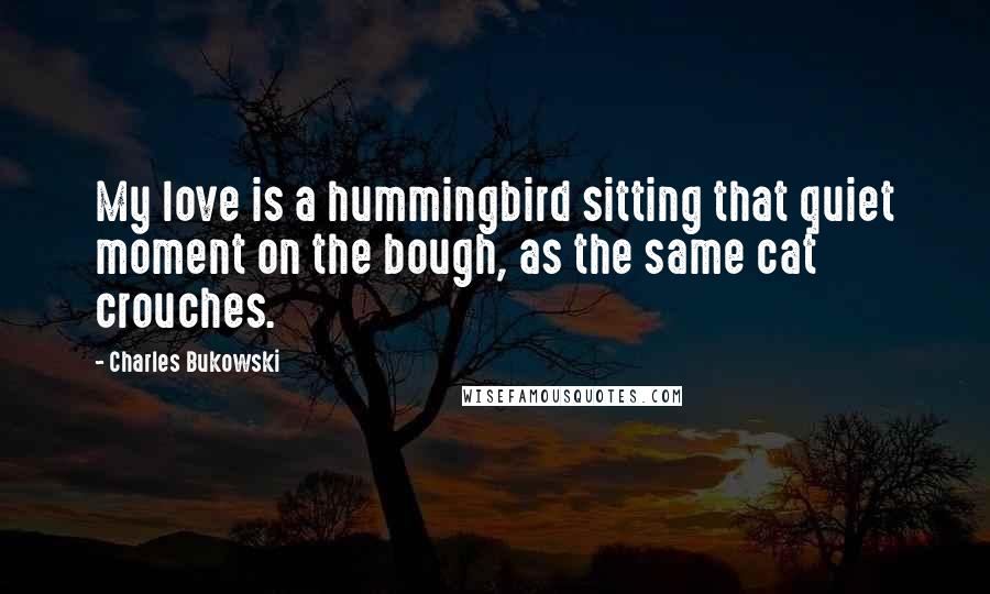 Charles Bukowski Quotes: My love is a hummingbird sitting that quiet moment on the bough, as the same cat crouches.
