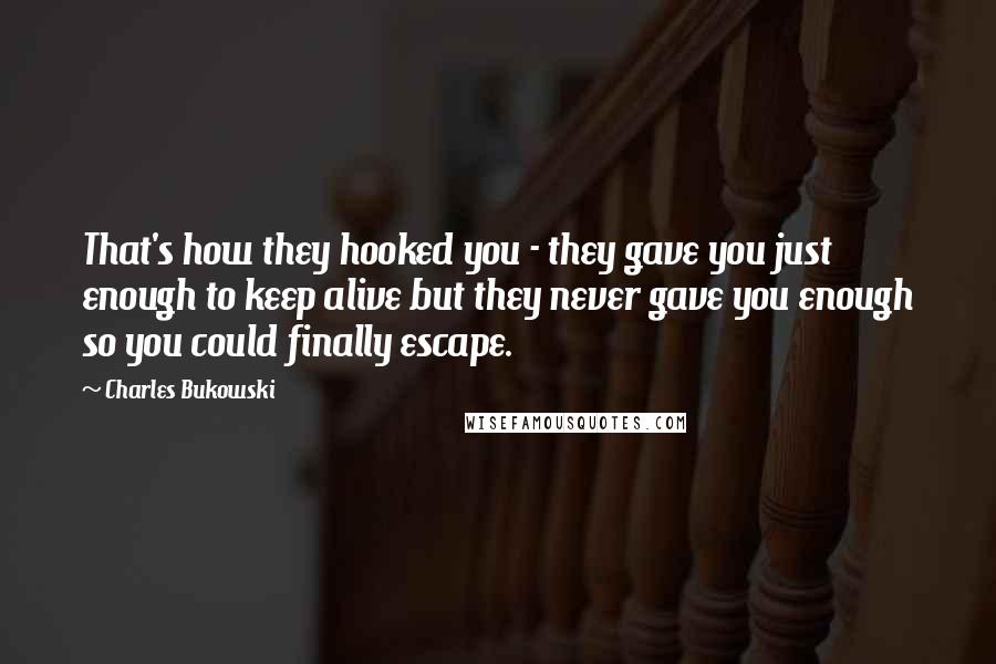 Charles Bukowski Quotes: That's how they hooked you - they gave you just enough to keep alive but they never gave you enough so you could finally escape.