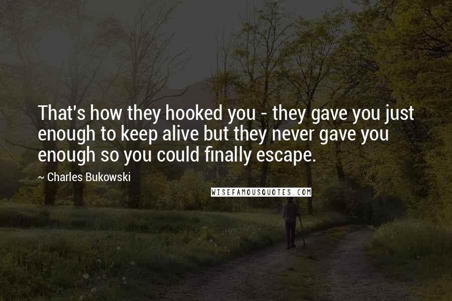 Charles Bukowski Quotes: That's how they hooked you - they gave you just enough to keep alive but they never gave you enough so you could finally escape.