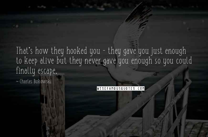 Charles Bukowski Quotes: That's how they hooked you - they gave you just enough to keep alive but they never gave you enough so you could finally escape.