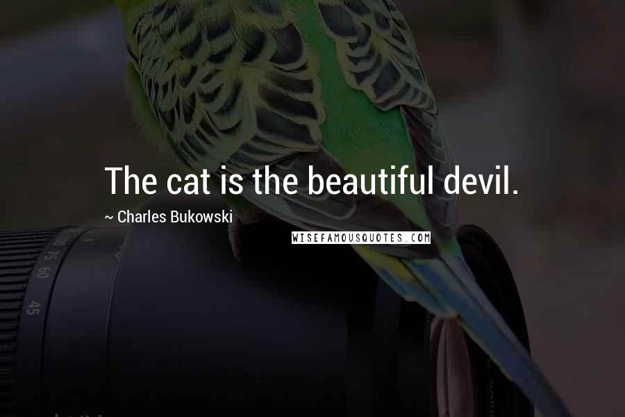 Charles Bukowski Quotes: The cat is the beautiful devil.