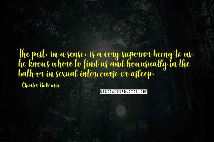 Charles Bukowski Quotes: The pest, in a sense, is a very superior being to us: he knows where to find us and howusually in the bath or in sexual intercourse or asleep.