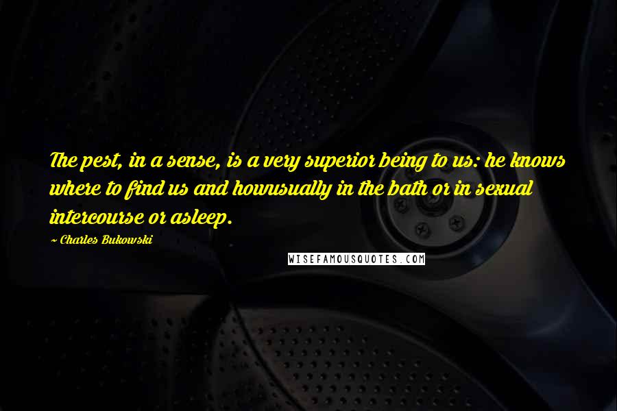 Charles Bukowski Quotes: The pest, in a sense, is a very superior being to us: he knows where to find us and howusually in the bath or in sexual intercourse or asleep.