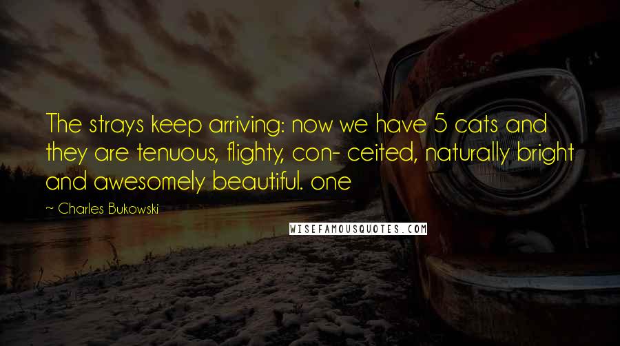 Charles Bukowski Quotes: The strays keep arriving: now we have 5 cats and they are tenuous, flighty, con- ceited, naturally bright and awesomely beautiful. one