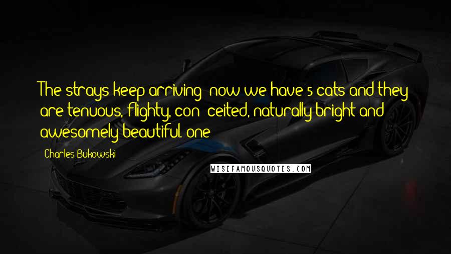 Charles Bukowski Quotes: The strays keep arriving: now we have 5 cats and they are tenuous, flighty, con- ceited, naturally bright and awesomely beautiful. one