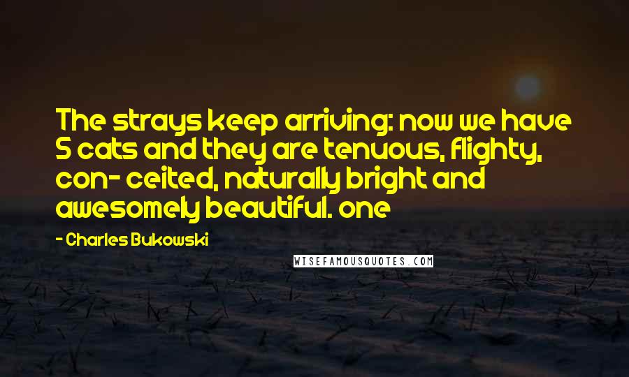 Charles Bukowski Quotes: The strays keep arriving: now we have 5 cats and they are tenuous, flighty, con- ceited, naturally bright and awesomely beautiful. one
