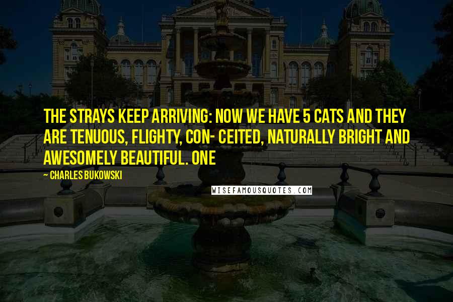 Charles Bukowski Quotes: The strays keep arriving: now we have 5 cats and they are tenuous, flighty, con- ceited, naturally bright and awesomely beautiful. one