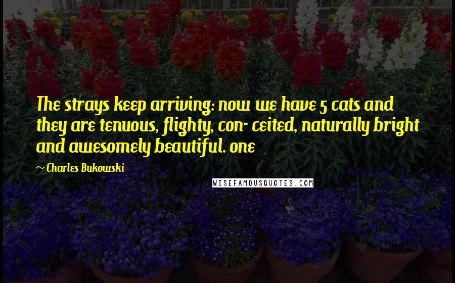 Charles Bukowski Quotes: The strays keep arriving: now we have 5 cats and they are tenuous, flighty, con- ceited, naturally bright and awesomely beautiful. one