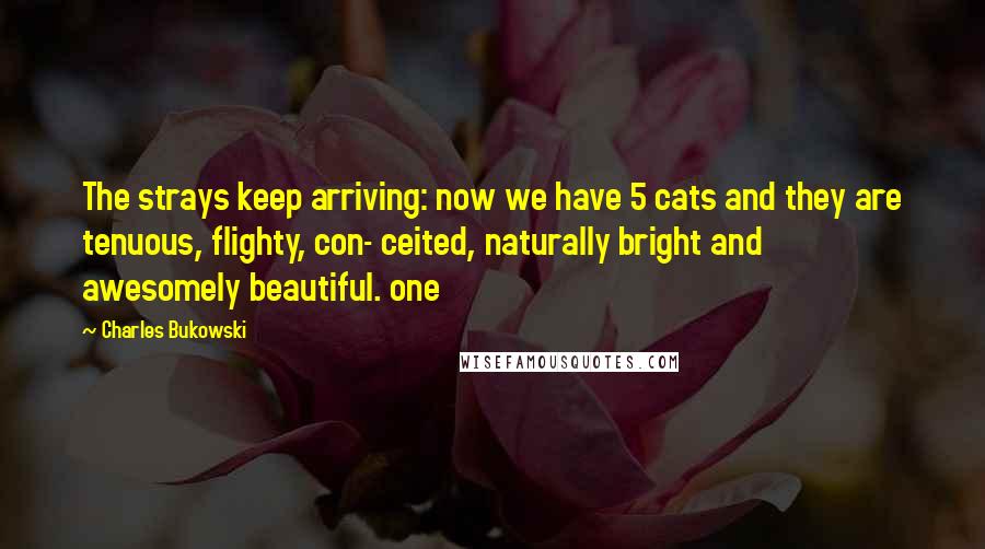 Charles Bukowski Quotes: The strays keep arriving: now we have 5 cats and they are tenuous, flighty, con- ceited, naturally bright and awesomely beautiful. one