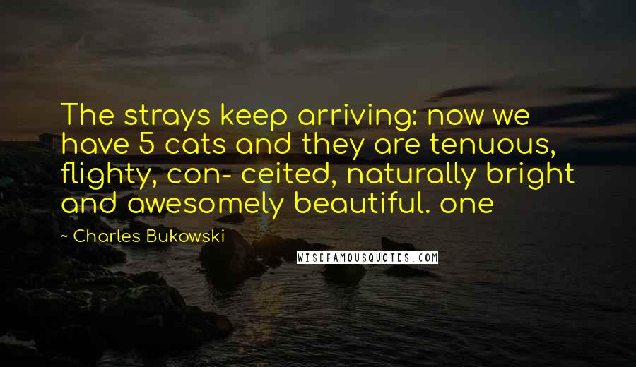 Charles Bukowski Quotes: The strays keep arriving: now we have 5 cats and they are tenuous, flighty, con- ceited, naturally bright and awesomely beautiful. one