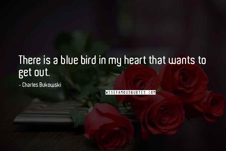 Charles Bukowski Quotes: There is a blue bird in my heart that wants to get out.