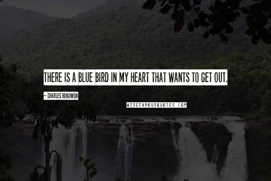 Charles Bukowski Quotes: There is a blue bird in my heart that wants to get out.