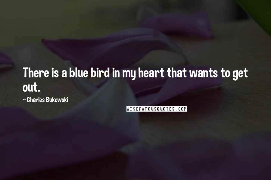 Charles Bukowski Quotes: There is a blue bird in my heart that wants to get out.