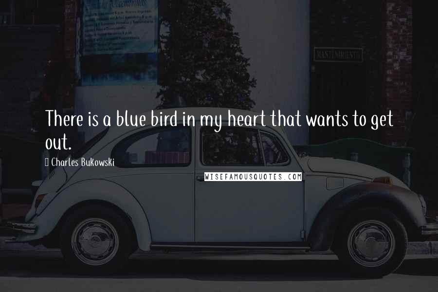 Charles Bukowski Quotes: There is a blue bird in my heart that wants to get out.