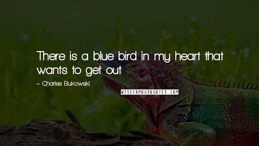 Charles Bukowski Quotes: There is a blue bird in my heart that wants to get out.