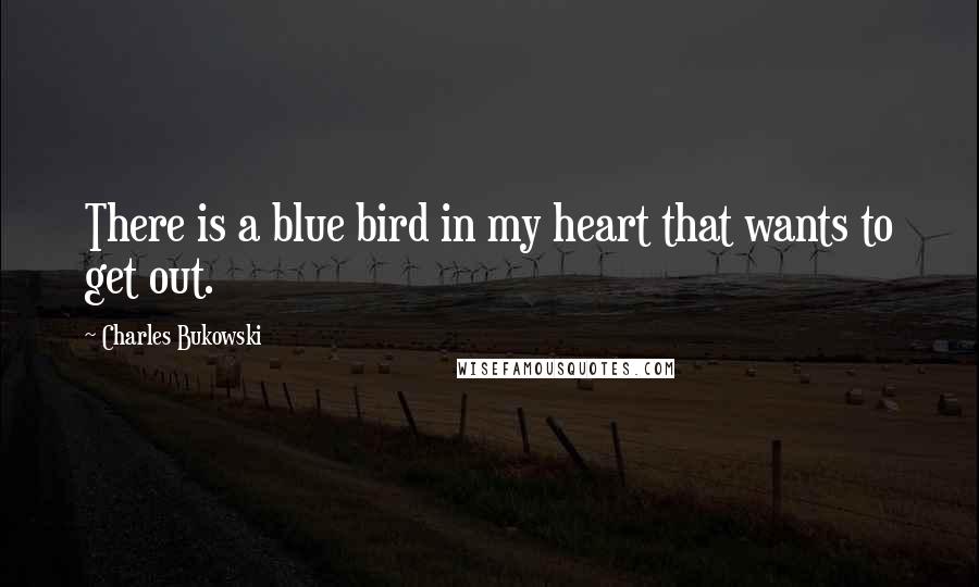 Charles Bukowski Quotes: There is a blue bird in my heart that wants to get out.