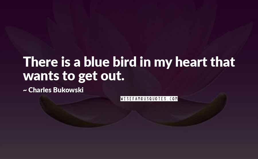 Charles Bukowski Quotes: There is a blue bird in my heart that wants to get out.