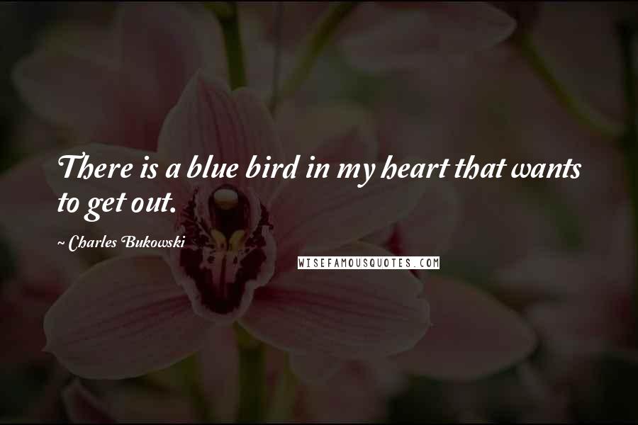 Charles Bukowski Quotes: There is a blue bird in my heart that wants to get out.