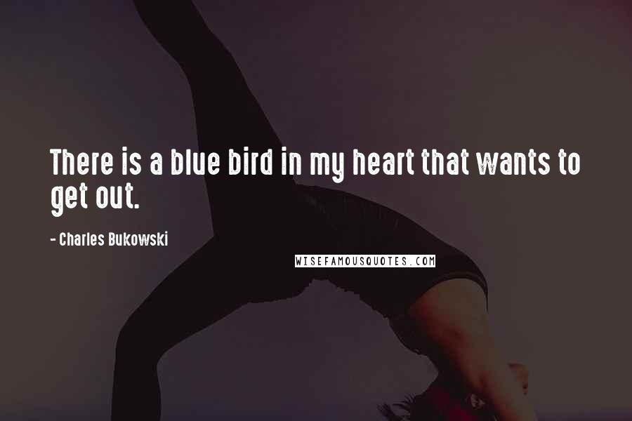 Charles Bukowski Quotes: There is a blue bird in my heart that wants to get out.