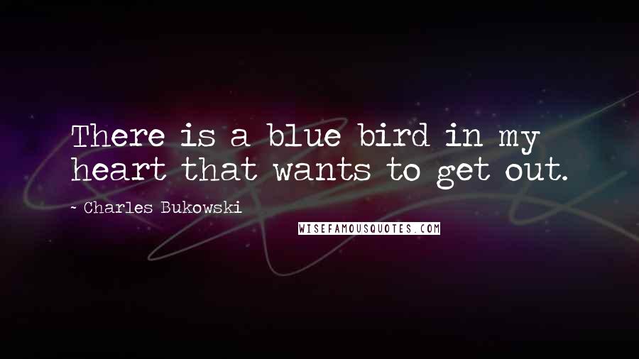 Charles Bukowski Quotes: There is a blue bird in my heart that wants to get out.