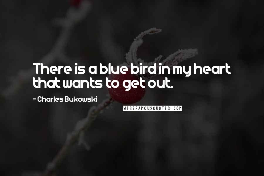 Charles Bukowski Quotes: There is a blue bird in my heart that wants to get out.