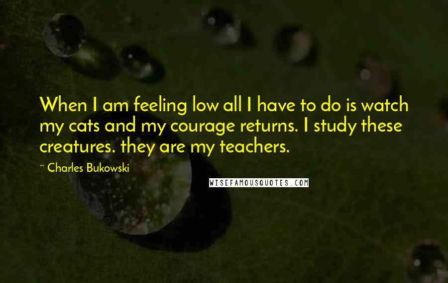 Charles Bukowski Quotes: When I am feeling low all I have to do is watch my cats and my courage returns. I study these creatures. they are my teachers.