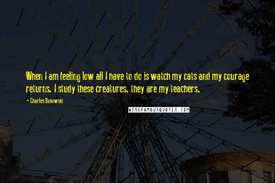 Charles Bukowski Quotes: When I am feeling low all I have to do is watch my cats and my courage returns. I study these creatures. they are my teachers.