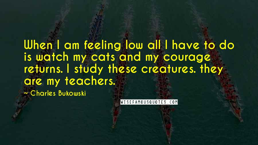 Charles Bukowski Quotes: When I am feeling low all I have to do is watch my cats and my courage returns. I study these creatures. they are my teachers.