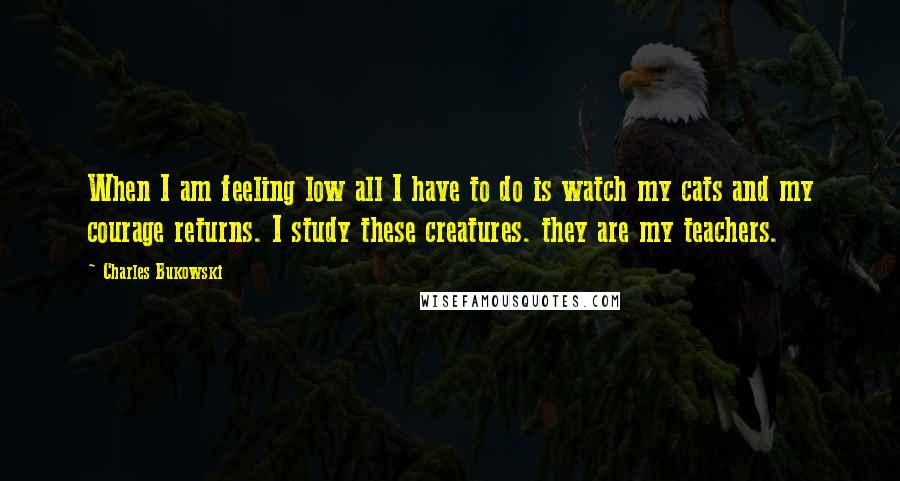 Charles Bukowski Quotes: When I am feeling low all I have to do is watch my cats and my courage returns. I study these creatures. they are my teachers.