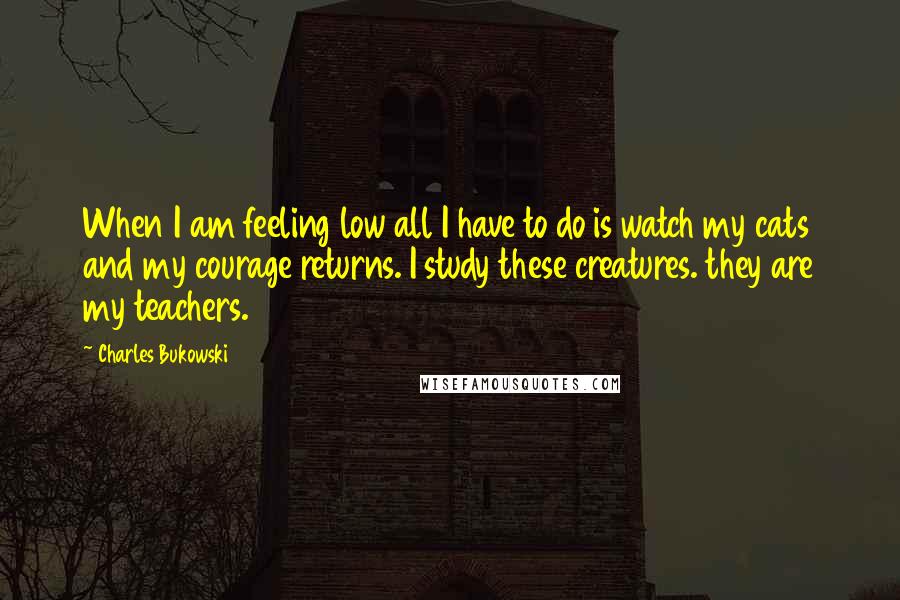 Charles Bukowski Quotes: When I am feeling low all I have to do is watch my cats and my courage returns. I study these creatures. they are my teachers.