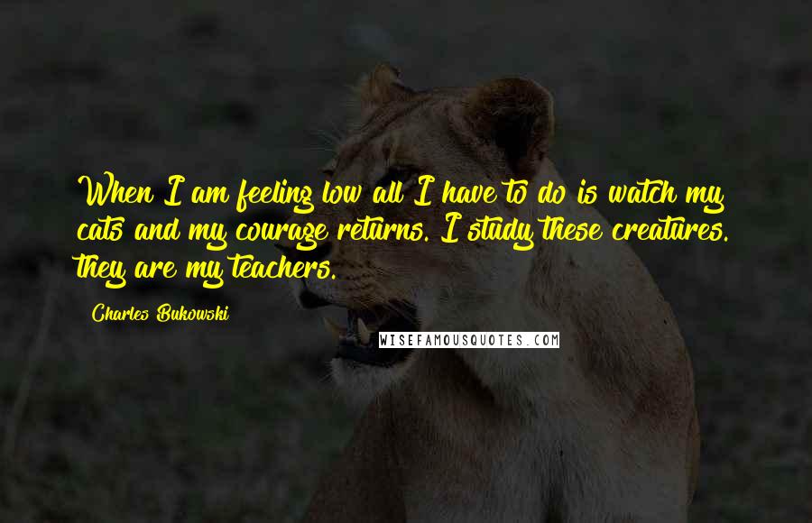 Charles Bukowski Quotes: When I am feeling low all I have to do is watch my cats and my courage returns. I study these creatures. they are my teachers.