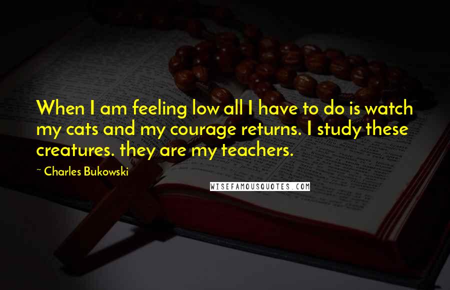 Charles Bukowski Quotes: When I am feeling low all I have to do is watch my cats and my courage returns. I study these creatures. they are my teachers.