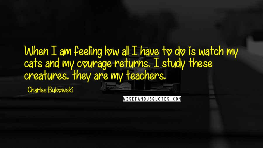 Charles Bukowski Quotes: When I am feeling low all I have to do is watch my cats and my courage returns. I study these creatures. they are my teachers.