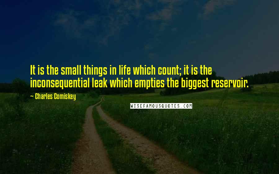 Charles Comiskey Quotes: It is the small things in life which count; it is the inconsequential leak which empties the biggest reservoir.