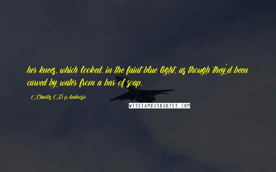 Charles D'Ambrosio Quotes: her knees, which looked, in the faint blue light, as though they'd been carved by water from a bar of soap.