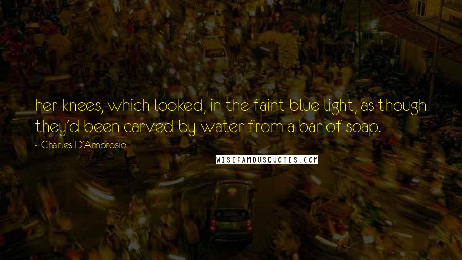 Charles D'Ambrosio Quotes: her knees, which looked, in the faint blue light, as though they'd been carved by water from a bar of soap.