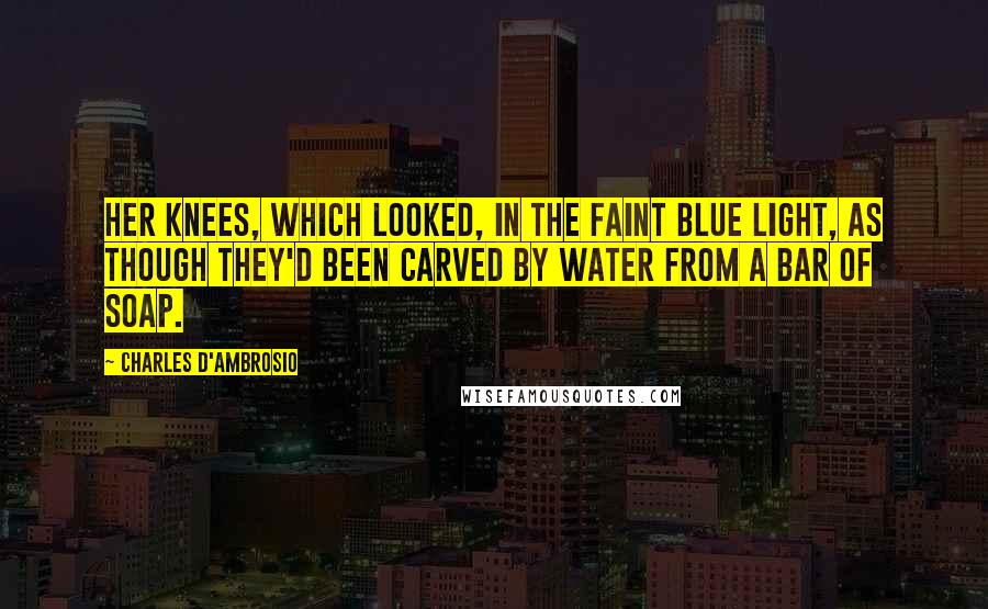 Charles D'Ambrosio Quotes: her knees, which looked, in the faint blue light, as though they'd been carved by water from a bar of soap.