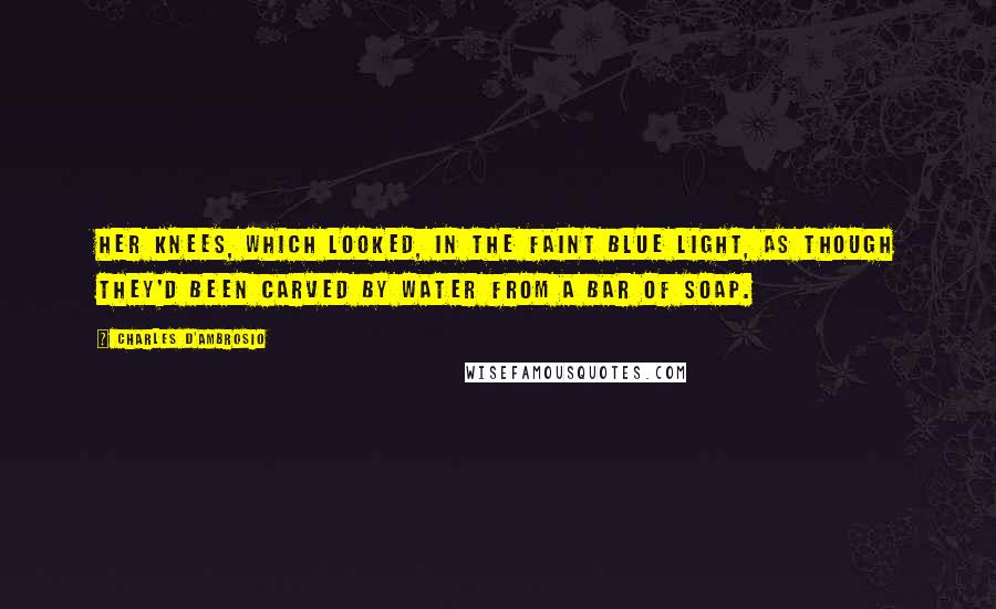 Charles D'Ambrosio Quotes: her knees, which looked, in the faint blue light, as though they'd been carved by water from a bar of soap.