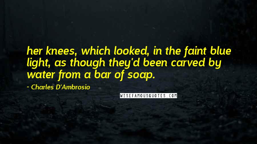 Charles D'Ambrosio Quotes: her knees, which looked, in the faint blue light, as though they'd been carved by water from a bar of soap.