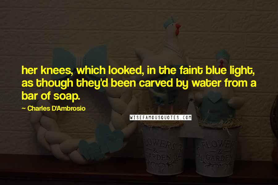 Charles D'Ambrosio Quotes: her knees, which looked, in the faint blue light, as though they'd been carved by water from a bar of soap.