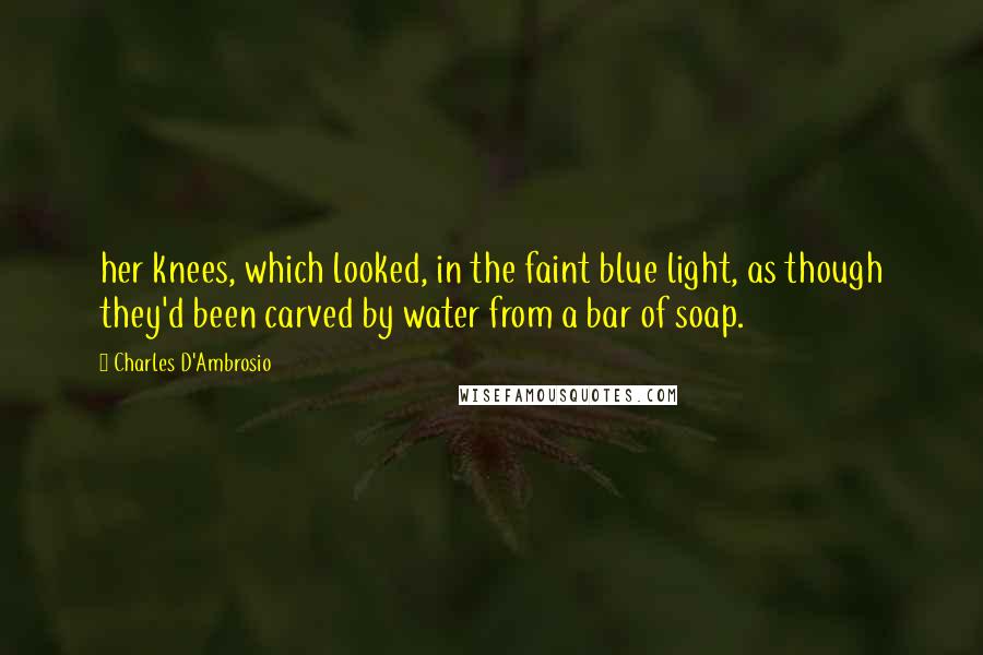 Charles D'Ambrosio Quotes: her knees, which looked, in the faint blue light, as though they'd been carved by water from a bar of soap.